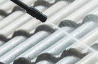 rated Rhyn roof cleaning companies